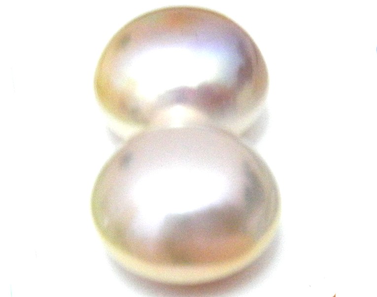 Natural Colours over15mm Half Drilled Button Single Pearls